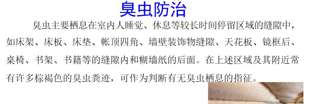 灭臭虫用什么药最好_灭臭虫***_灭臭虫的最好方法