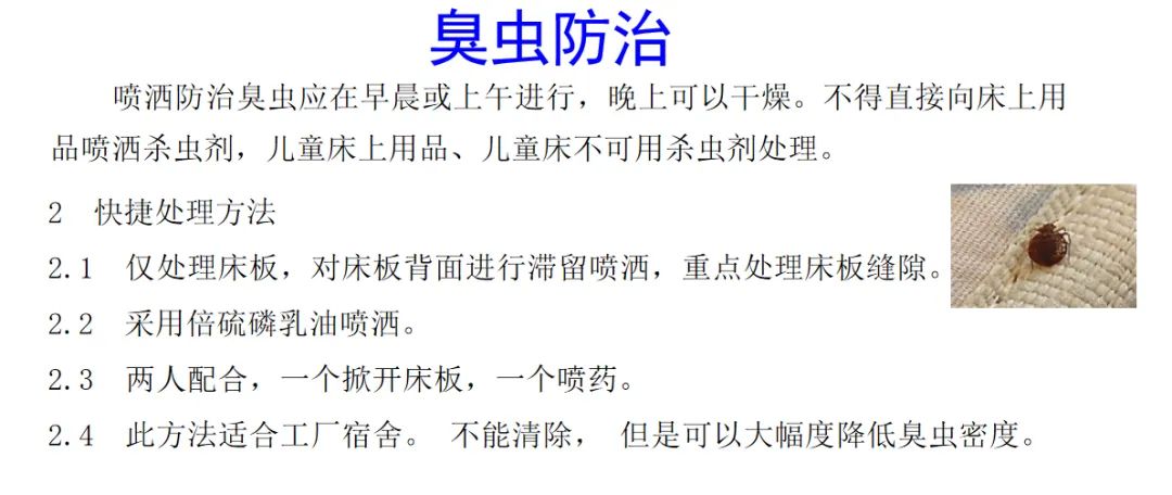 灭臭虫***_灭臭虫用什么药最好_灭臭虫的最好方法