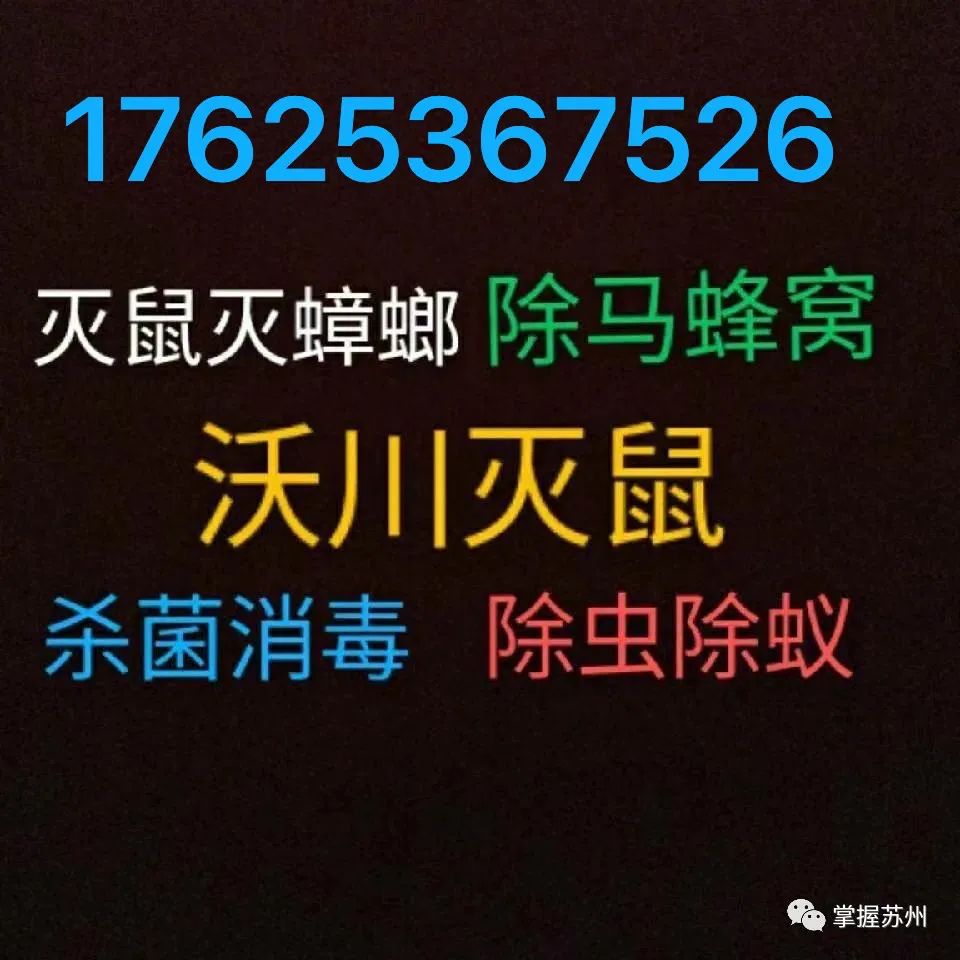 灭臭虫的最好方法_灭臭虫***_灭臭虫用什么药最好