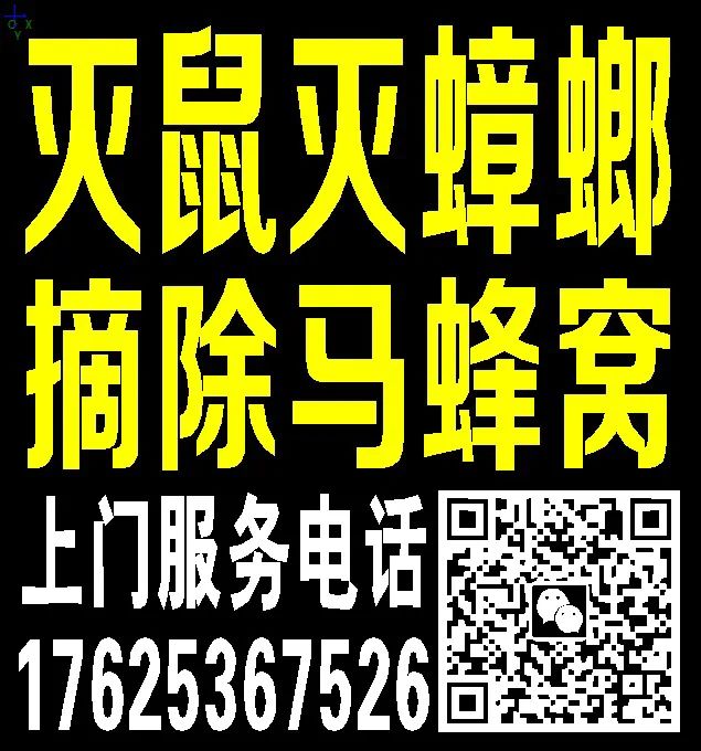 灭臭虫用什么药最好_灭臭虫的最好方法_灭臭虫***