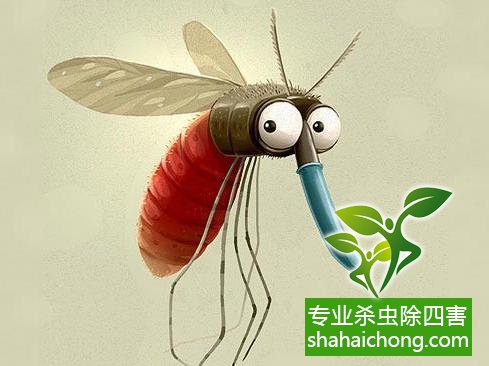 剂杀虫种子灭蚊用什么好_灭蚊子用哪种杀虫剂_剂杀虫种子灭蚊用量多少