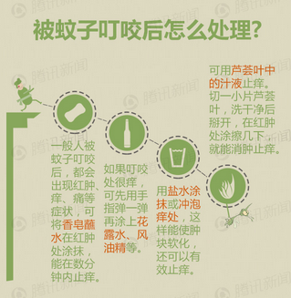 灭蚊子卵_灭蚊卵方法_杀灭蚊子卵