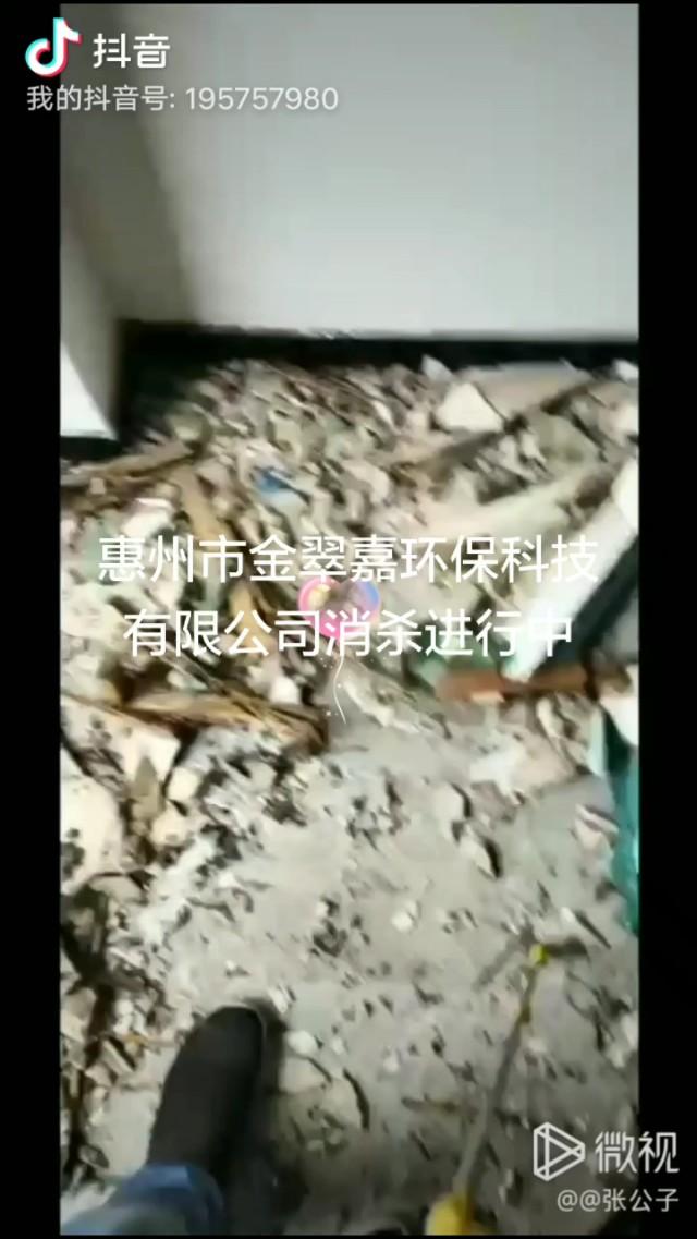 别墅装修白蚁预防方案_别墅装修如何防治白蚁_防治别墅装修白蚁用什么药