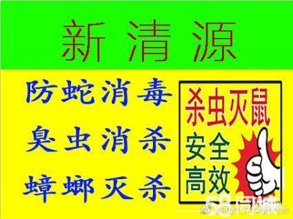 防治别墅装修白蚁用什么药_别墅装修如何防治白蚁_别墅装修白蚁预防方案