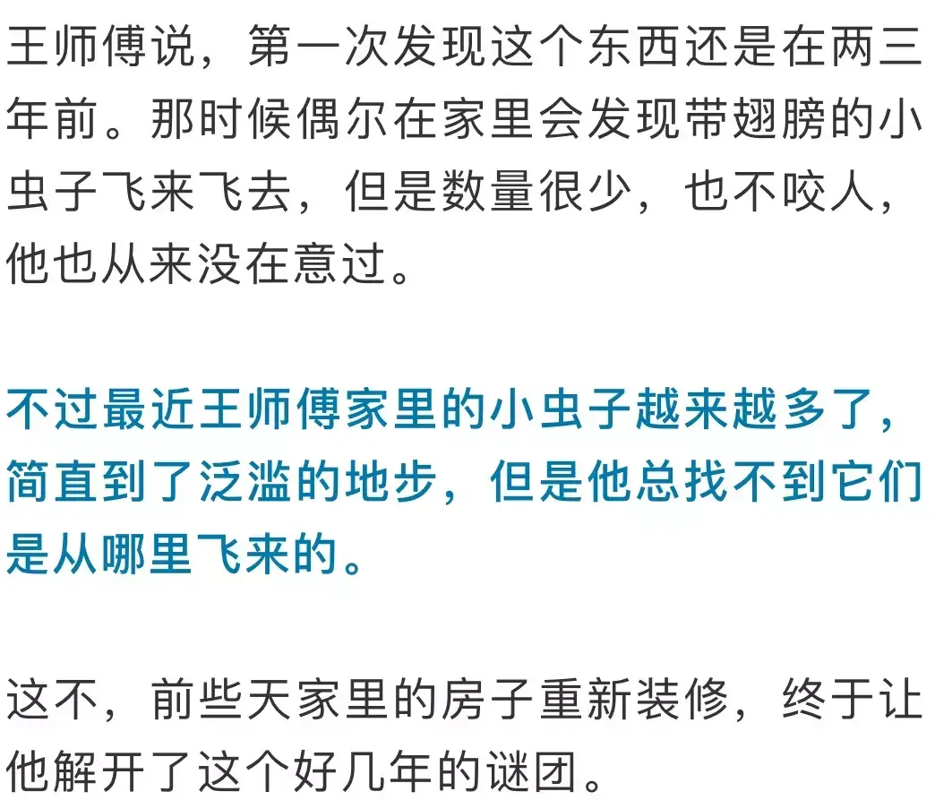 防治别墅装修白蚁用什么药_别墅装修如何防治白蚁_防治别墅装修白蚁的措施