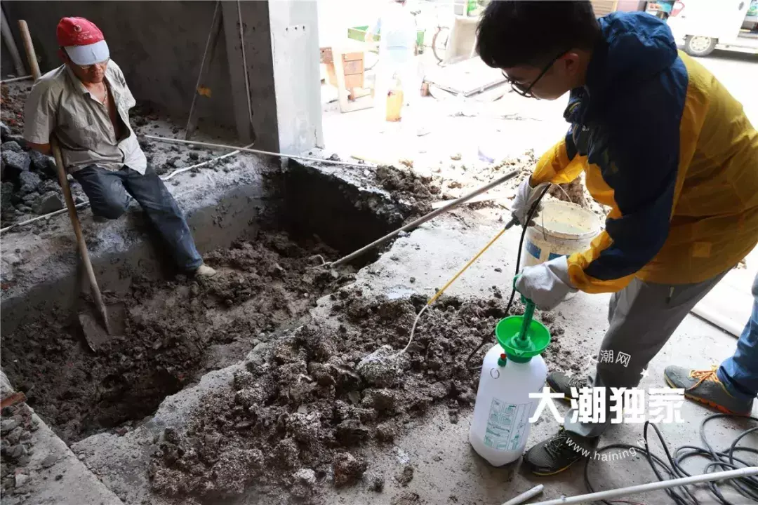 别墅装修如何防治白蚁_防治别墅装修白蚁的措施_防治别墅装修白蚁用什么药