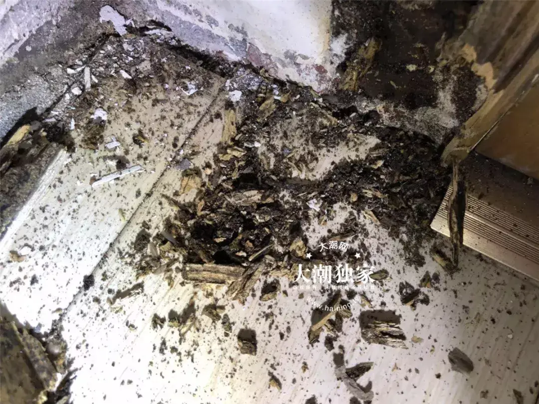 防治别墅装修白蚁用什么药_防治别墅装修白蚁的措施_别墅装修如何防治白蚁