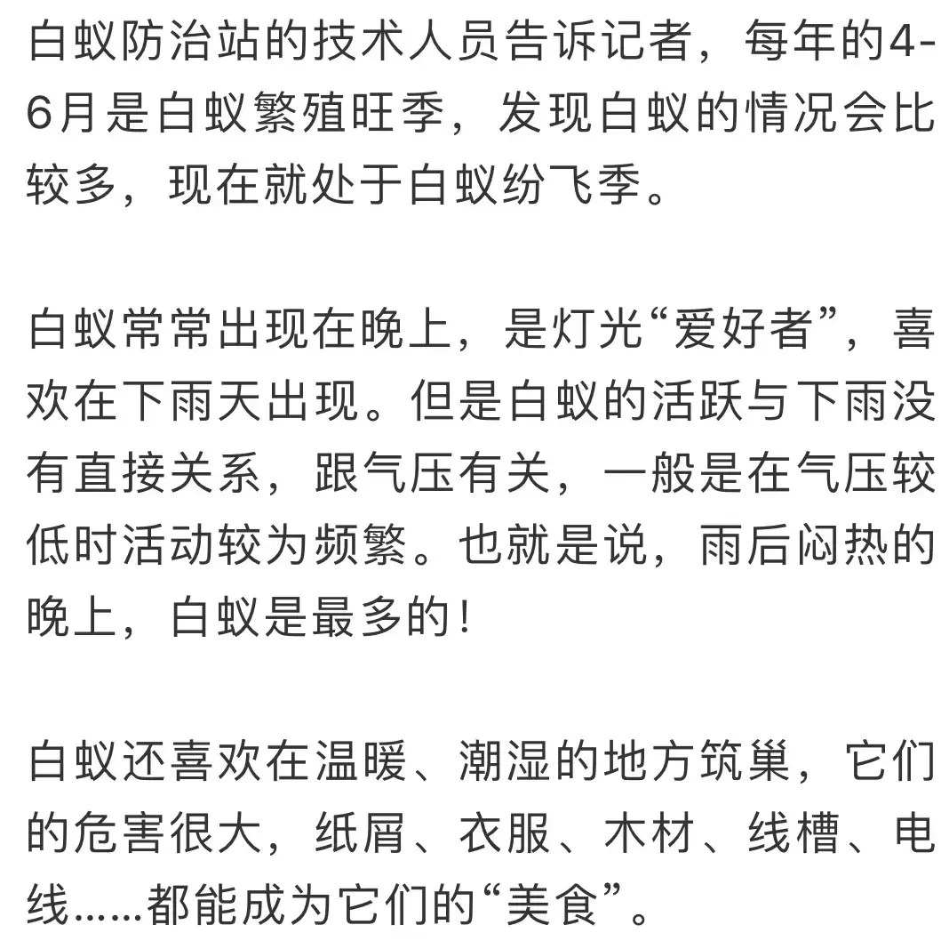 别墅装修如何防治白蚁_防治别墅装修白蚁用什么药_防治别墅装修白蚁的措施