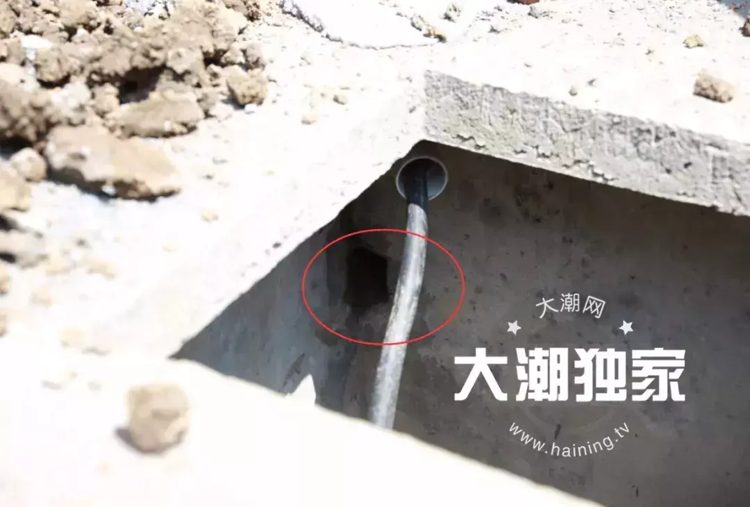 防治别墅装修白蚁用什么药_防治别墅装修白蚁的措施_别墅装修如何防治白蚁