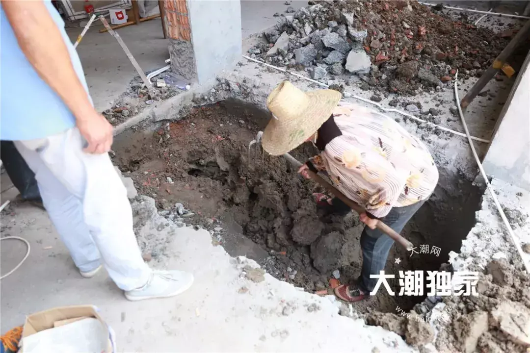防治别墅装修白蚁用什么药_防治别墅装修白蚁的措施_别墅装修如何防治白蚁
