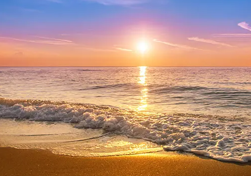 消灭苍蝇有什么好办法