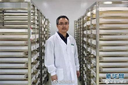 蚊子消灭最好用什么药_消灭蚊子_蚊子消灭不了吗