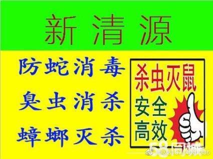 防治别墅装修白蚁用什么药_别墅装修白蚁预防方案_别墅装修如何防治白蚁