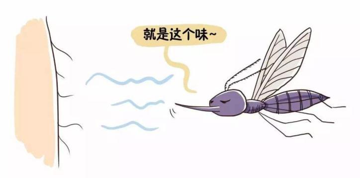 最有效的灭蚊子神器_灭蚊子用什么好_灭蚊子用什么农药好