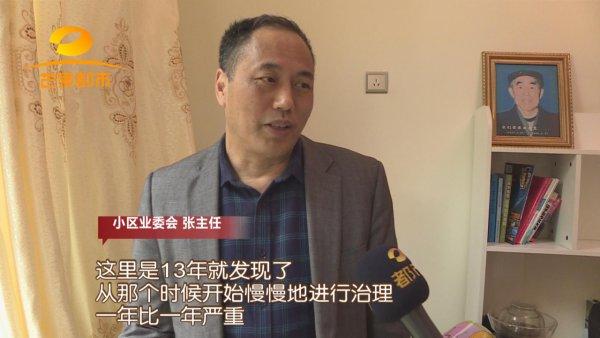 防治别墅装修白蚁的措施_别墅装修如何防治白蚁_别墅白蚁防治方案