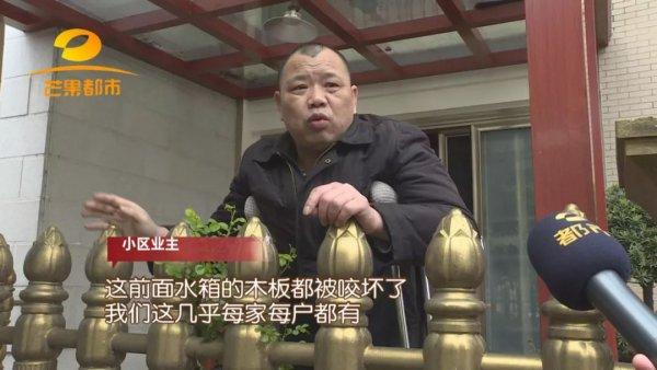 别墅白蚁防治方案_防治别墅装修白蚁的措施_别墅装修如何防治白蚁