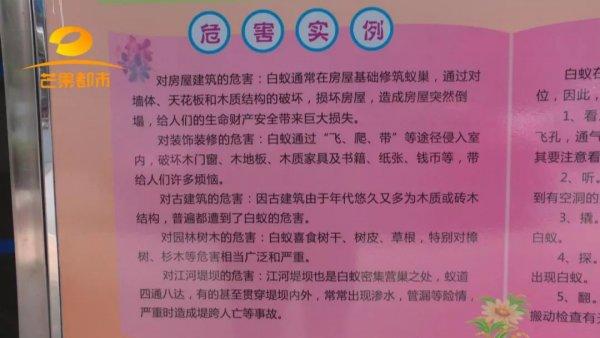 别墅白蚁防治方案_别墅装修如何防治白蚁_防治别墅装修白蚁的措施