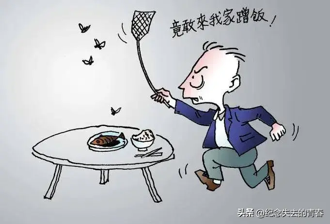 苍蝇咋灭_灭苍蝇秘方_灭苍蝇用什么办法