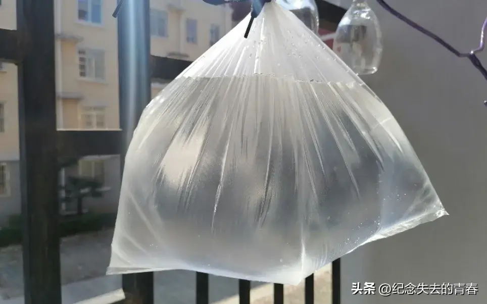 灭苍蝇用什么办法_灭苍蝇秘方_苍蝇咋灭