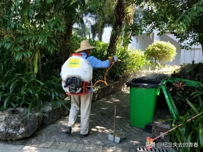 灭苍蝇用什么办法_苍蝇咋灭_灭苍蝇秘方