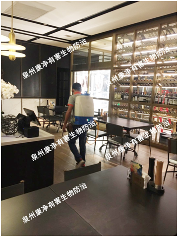 灭老鼠最好最快的药_灭老鼠的药哪种比较好_灭老鼠的药特效药