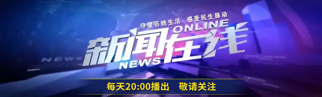 防治白蚁找哪个部门_防治白蚁_防治白蚁用什么药最有效