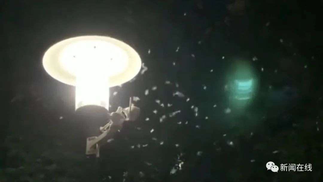 防治白蚁用什么药最有效_防治白蚁_防治白蚁找哪个部门