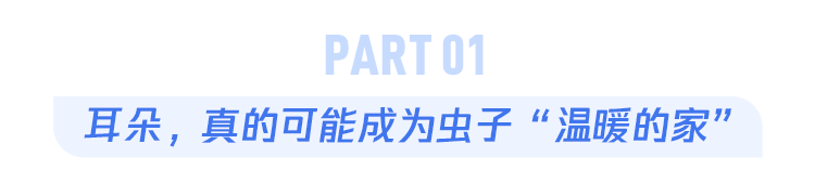 灭蚊子的杀虫剂_杀虫灭蚊有哪些药品_杀虫剂杀蚊子幼虫