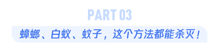 杀虫灭蚊有哪些药品_灭蚊子的杀虫剂_杀虫剂杀蚊子幼虫