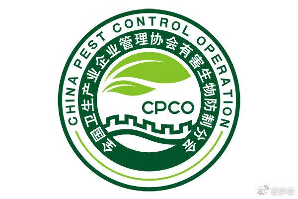 白蚁消杀后还会有吗_灭白蚁一年后又发现白蚁怎么办_白蚁灭了还会反复吗