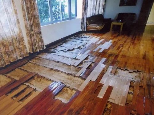地板白蚁预防处理