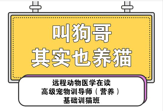 灭老鼠找哪家公司好_灭老鼠公司_灭老鼠厂家
