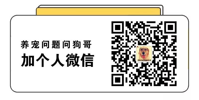 灭老鼠公司_灭老鼠厂家_灭老鼠找哪家公司好