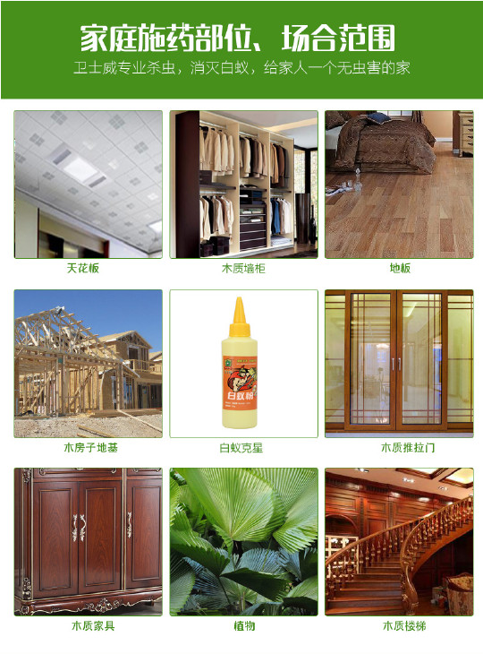 什么白蚁药效果最好？