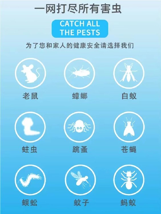 灭跳_灭跳蚤最管用的药_灭跳蚤药