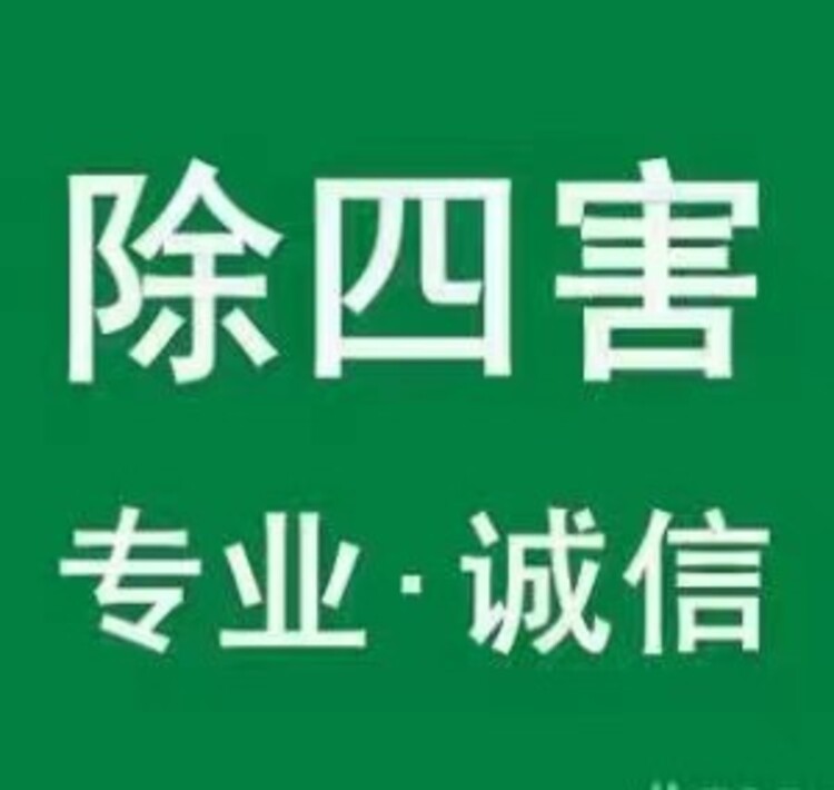灭跳蚤药_灭跳_灭跳蚤最管用的药