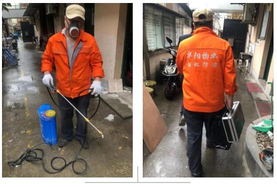 家里有白蚁怎么处理_白蚁处理家里有甲醛吗_白蚁出现在家里怎么办
