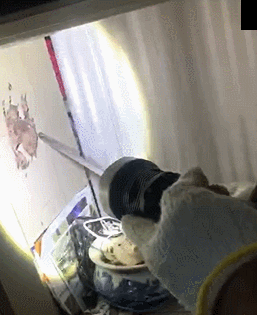 白蚁处理家里有甲醛吗_白蚁出现在家里怎么办_家里有白蚁怎么处理
