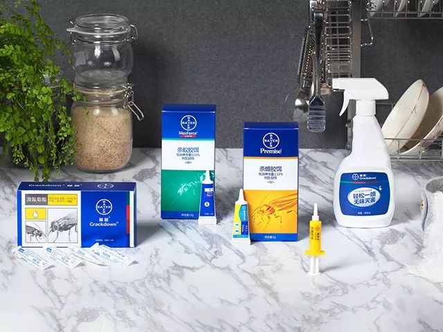 灭蟑螂的药能灭跳蚤吗_灭跳骚蟑螂最有效的**_杀蟑螂的可以杀死跳蚤吗