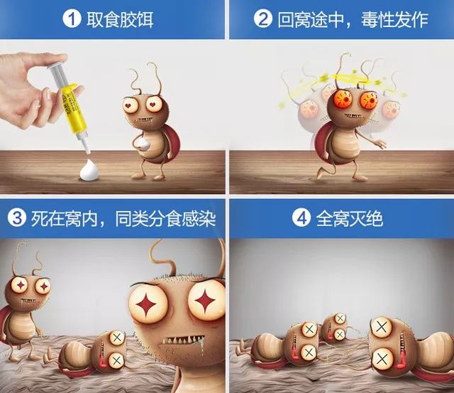 灭跳骚蟑螂最有效的**_杀蟑螂的可以杀死跳蚤吗_灭蟑螂的药能灭跳蚤吗