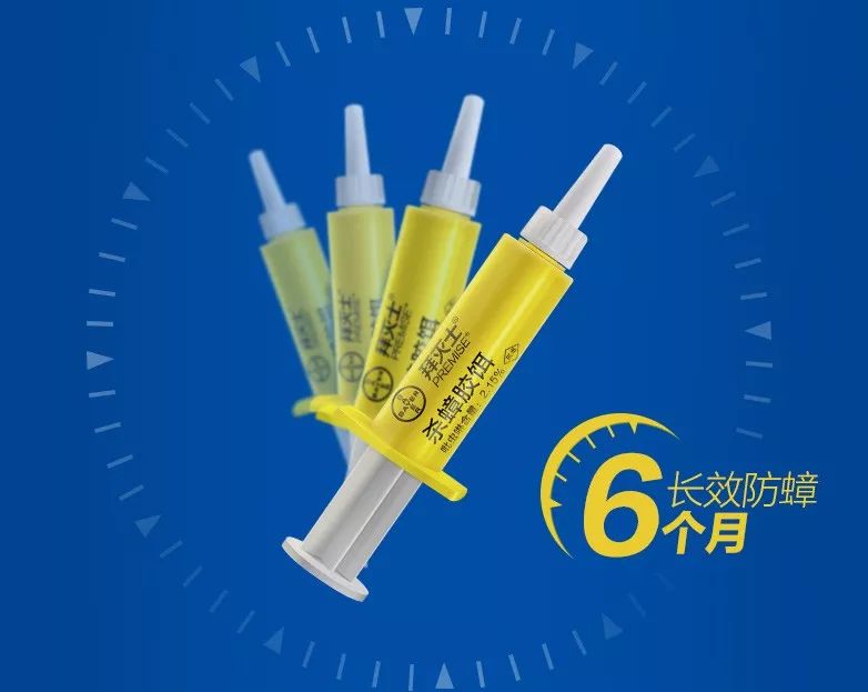 灭蟑螂的药能灭跳蚤吗_灭跳骚蟑螂最有效的**_杀蟑螂的可以杀死跳蚤吗