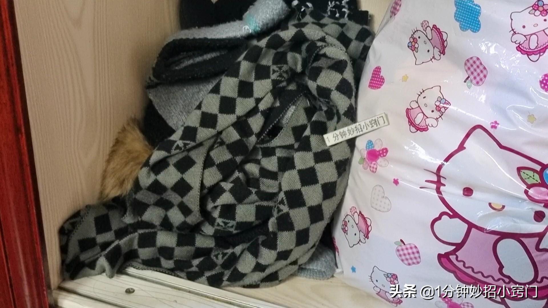 灭老鼠的方法有哪些_灭老鼠绝招_老鼠灭老鼠