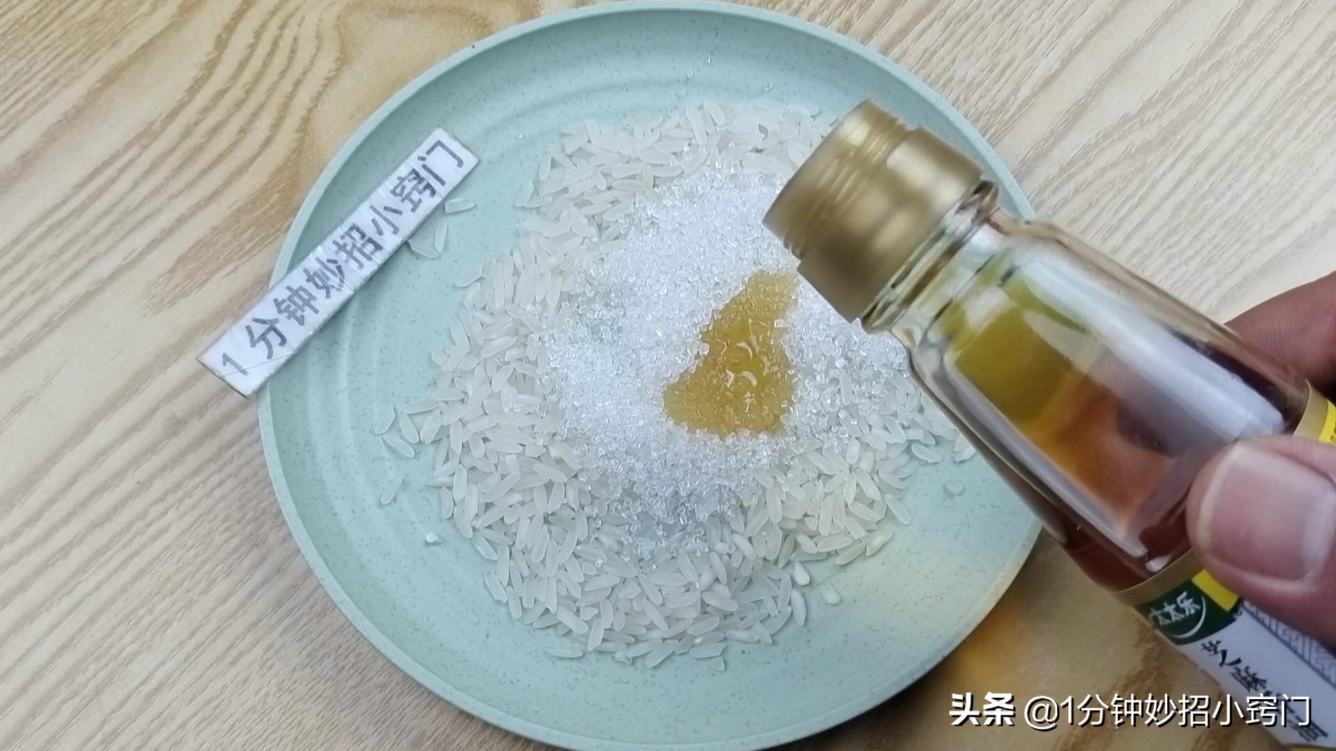 老鼠灭老鼠_灭老鼠绝招_灭老鼠的方法有哪些