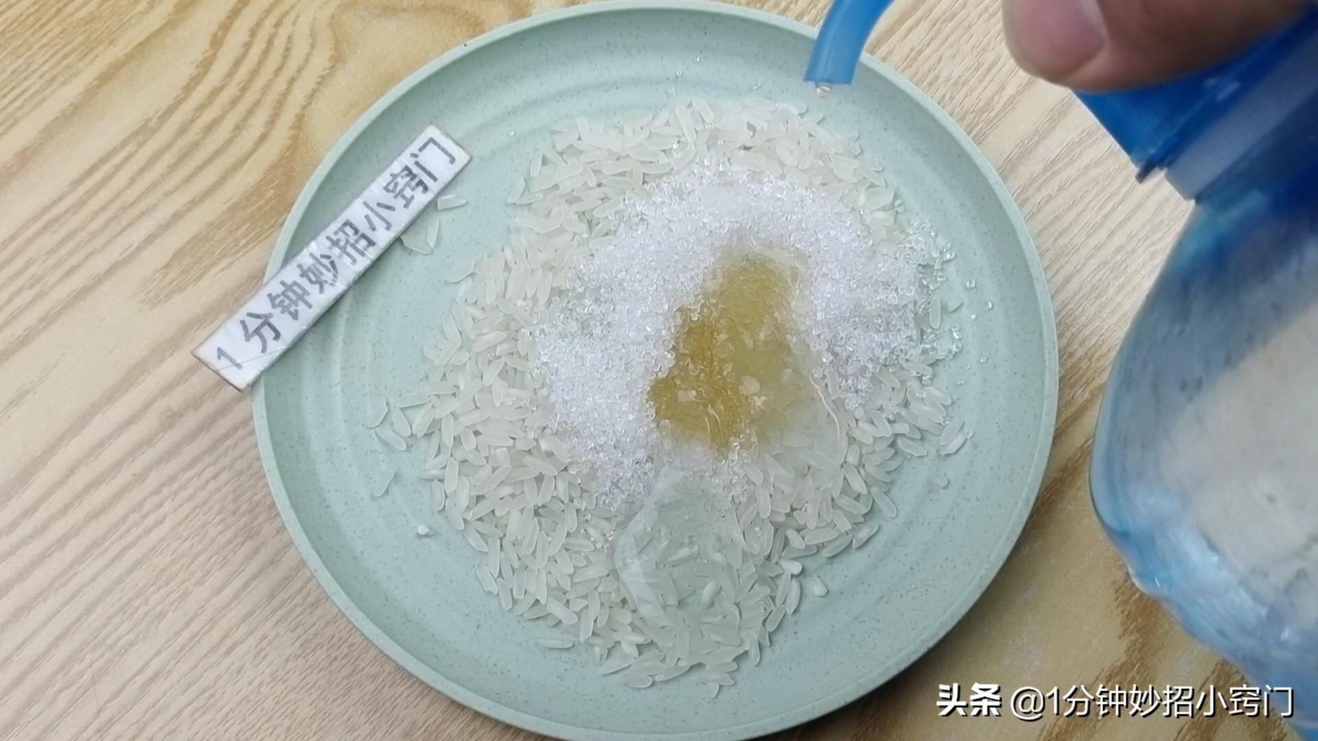 灭老鼠的方法有哪些_灭老鼠绝招_老鼠灭老鼠