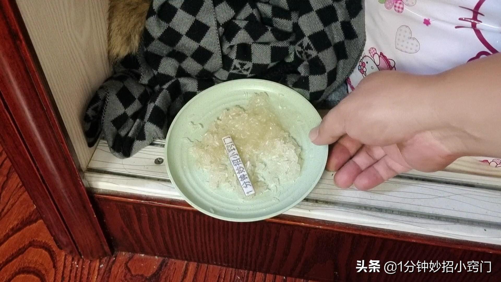 灭老鼠的方法有哪些_灭老鼠绝招_老鼠灭老鼠