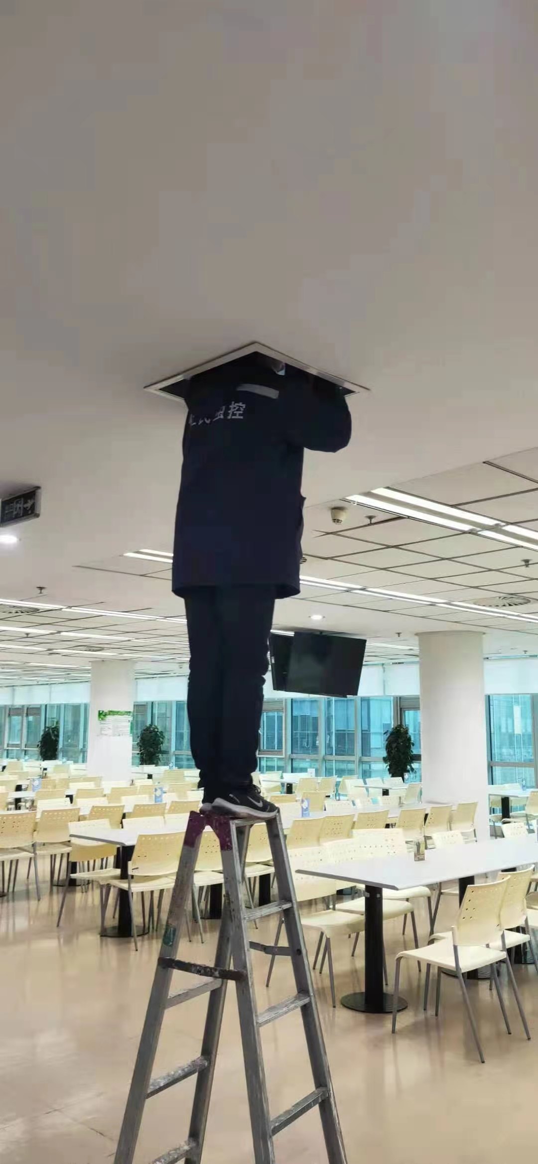 成都酒店灭鼠灭蟑螂公司
