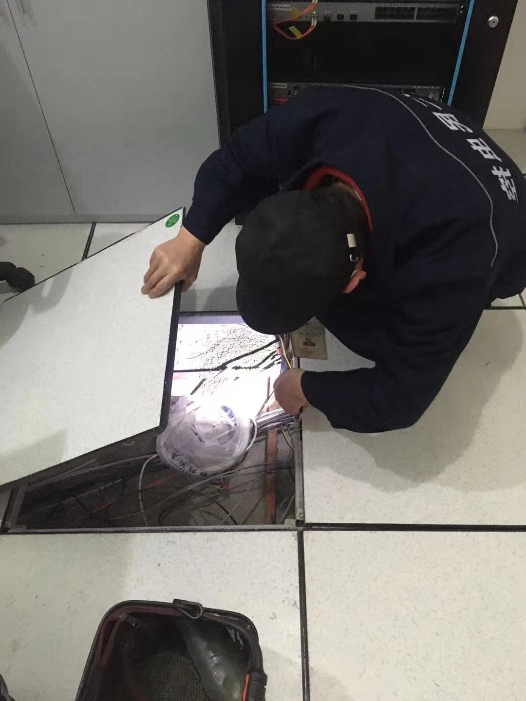 成都酒店灭鼠灭蟑螂公司