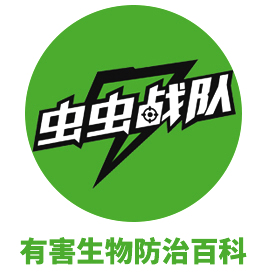 灭白蚁最好方法_灭白蚁用什么药效果好_灭白蚁防治方法
