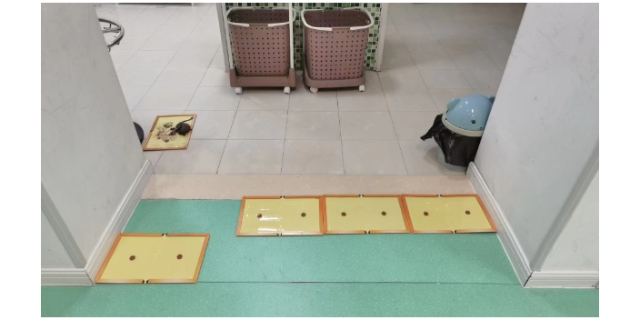 小区灭四害方法,灭