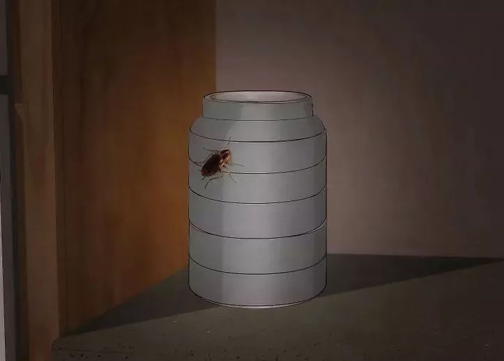 灭蟑螂用的硼酸哪里买_灭蟑螂用硼酸还是硼砂_硼酸杀蟑螂多久起效